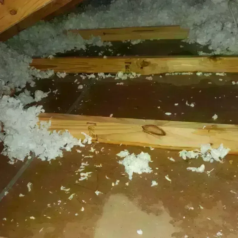 Attic Water Damage in Worthington, OH