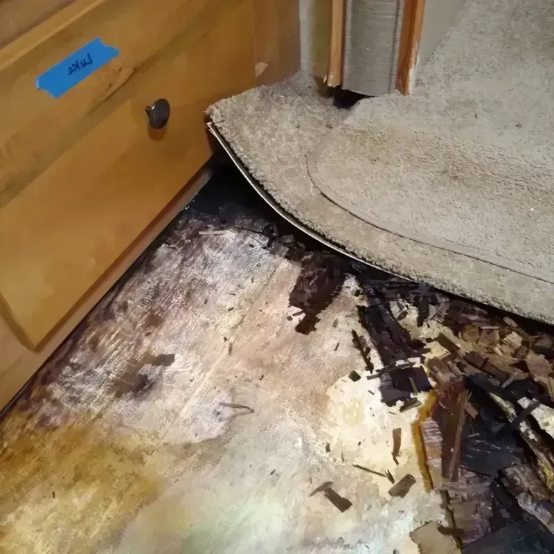 Wood Floor Water Damage in Worthington, OH